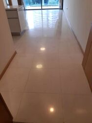 The Concourse (D7), Condominium #473795691